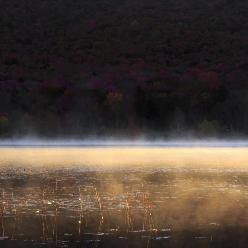 Fall mist rising on a New England pond